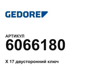 6066180 GEDORE