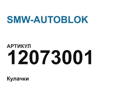 12073001 SMW-AUTOBLOK