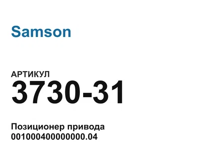 373031 Samson