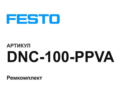 DNC100PPVA FESTO