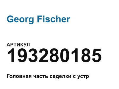193280185 Georg Fischer