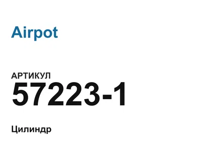 572231 Airpot