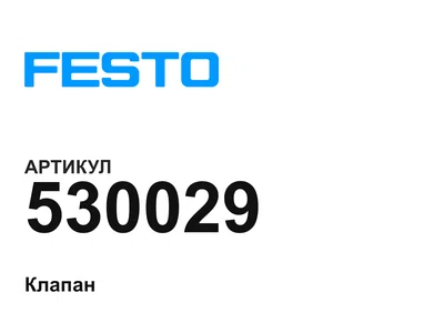 530029 FESTO