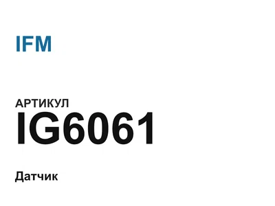 IG6061 IFM