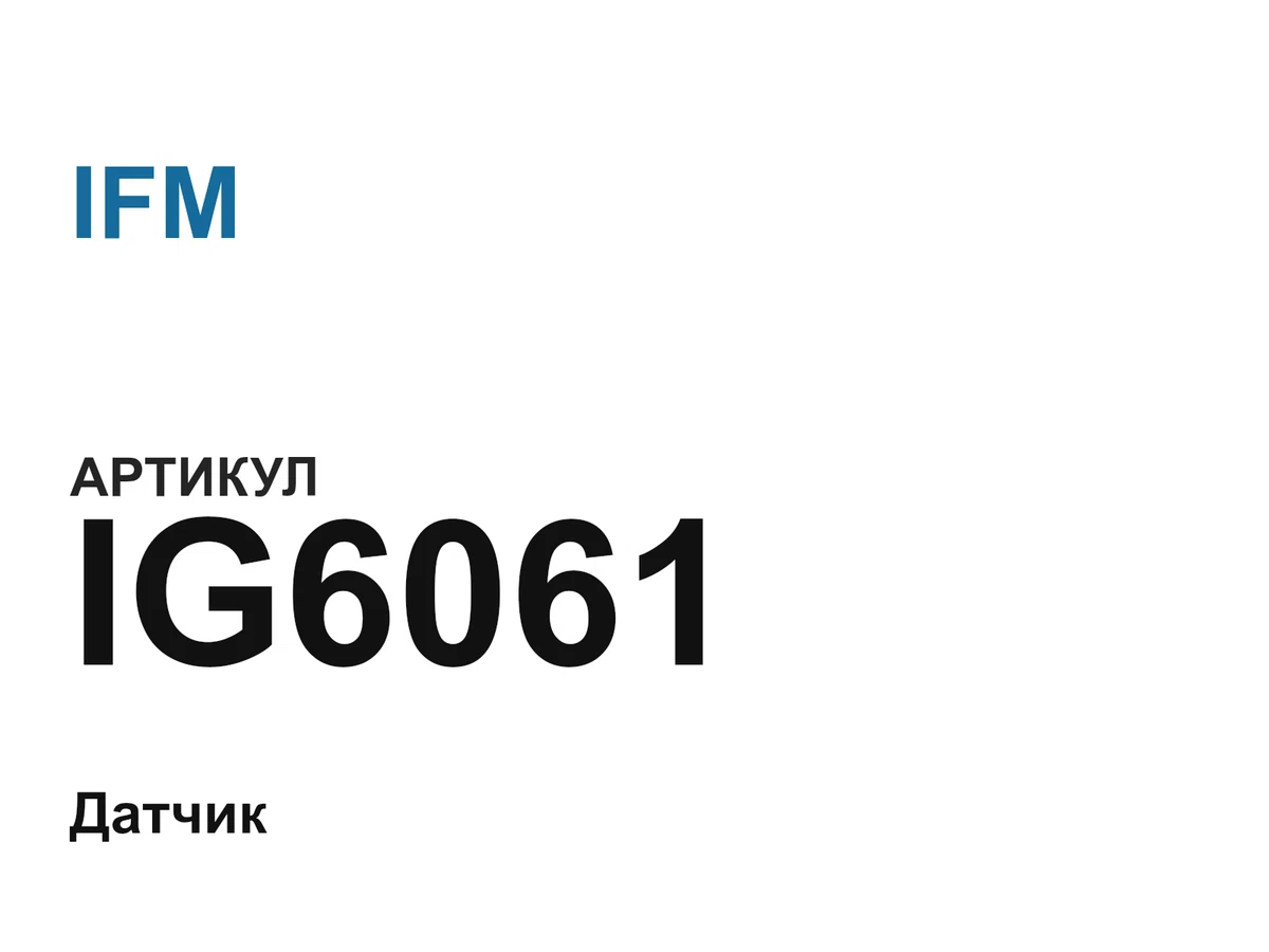 IG6061 IFM