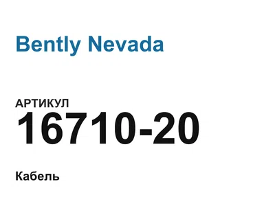 1671020 Bently Nevada