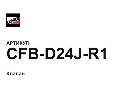 CFBD24JR1 Camozzi
