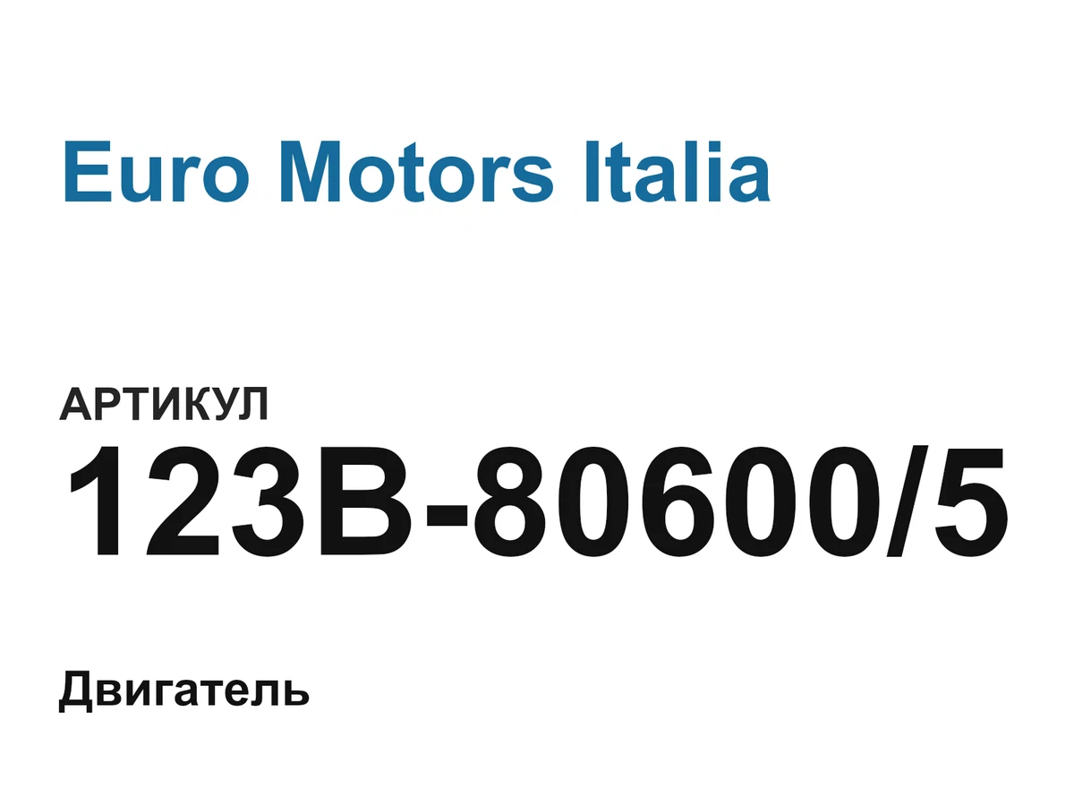 123B806005 Euro Motors Italia
