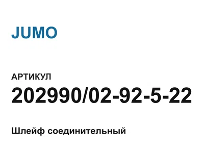 2029900292522 JUMO