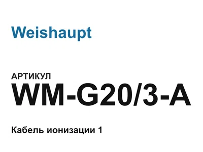 WMG203A Weishaupt