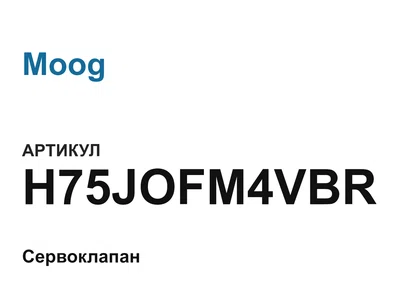 H75JOFM4VBR Moog