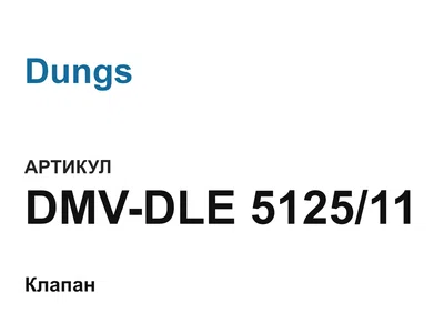 DMVDLE512511 Dungs