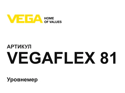 VEGAFLEX81 VEGA