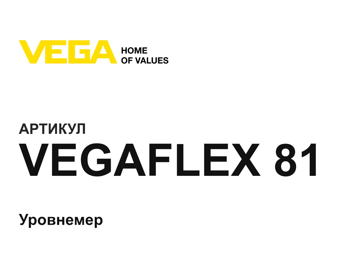 VEGAFLEX81 VEGA