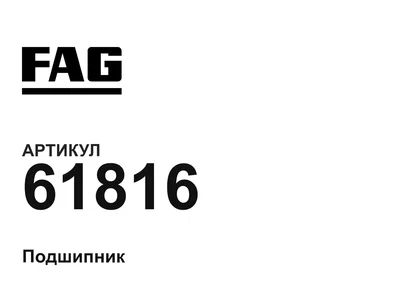 61816 FAG