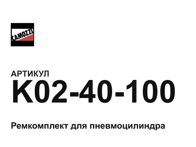 K0240100 Camozzi