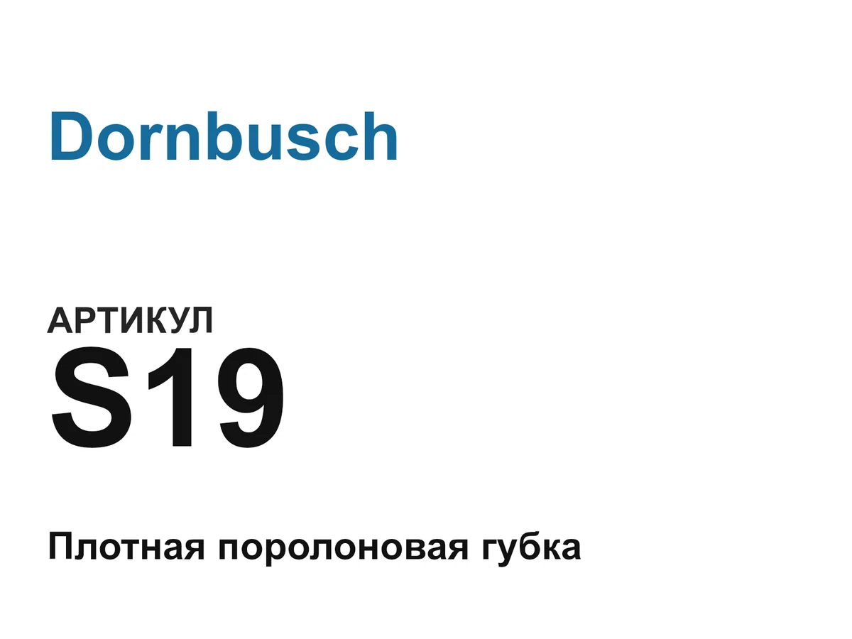 S19 Dornbusch