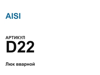 D22 AISI
