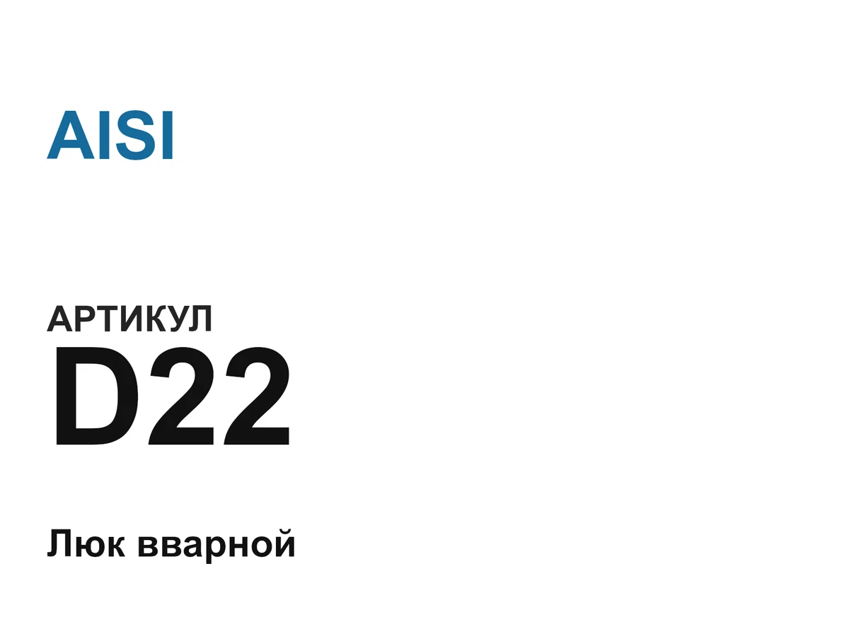 D22 AISI