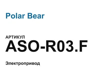 ASOR03F Polar Bear