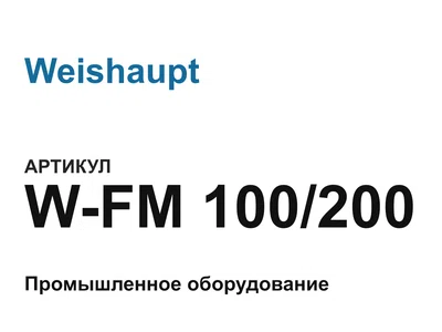 WFM100200 Weishaupt