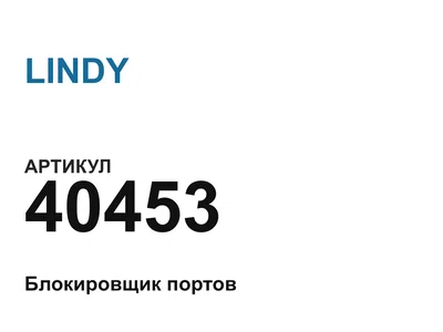 40453 LINDY