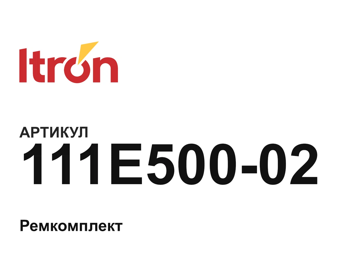 111E50002 Itron