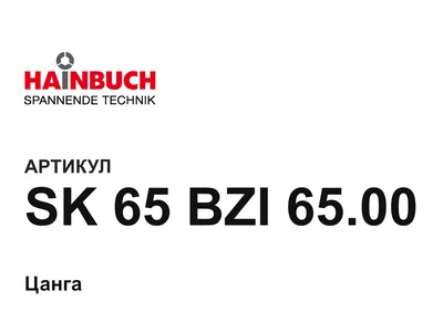 SK65BZI6500 Hainbuch