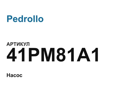 41PM81A1 Pedrollo