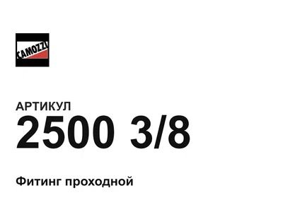 250038 Camozzi