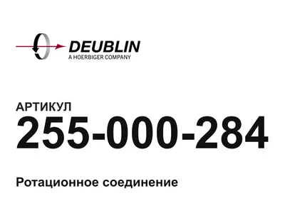255000284 Deublin