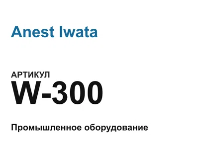 W300 Anest Iwata