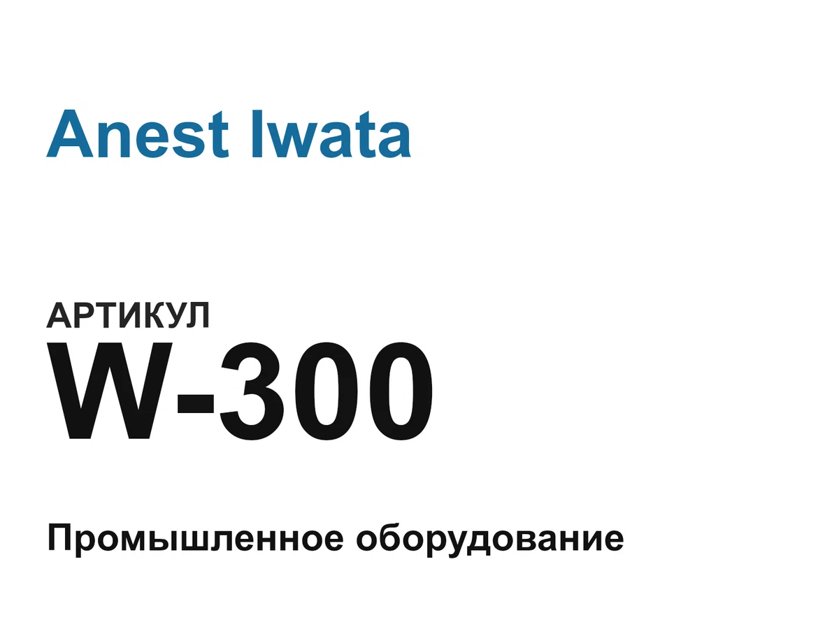 W300 Anest Iwata