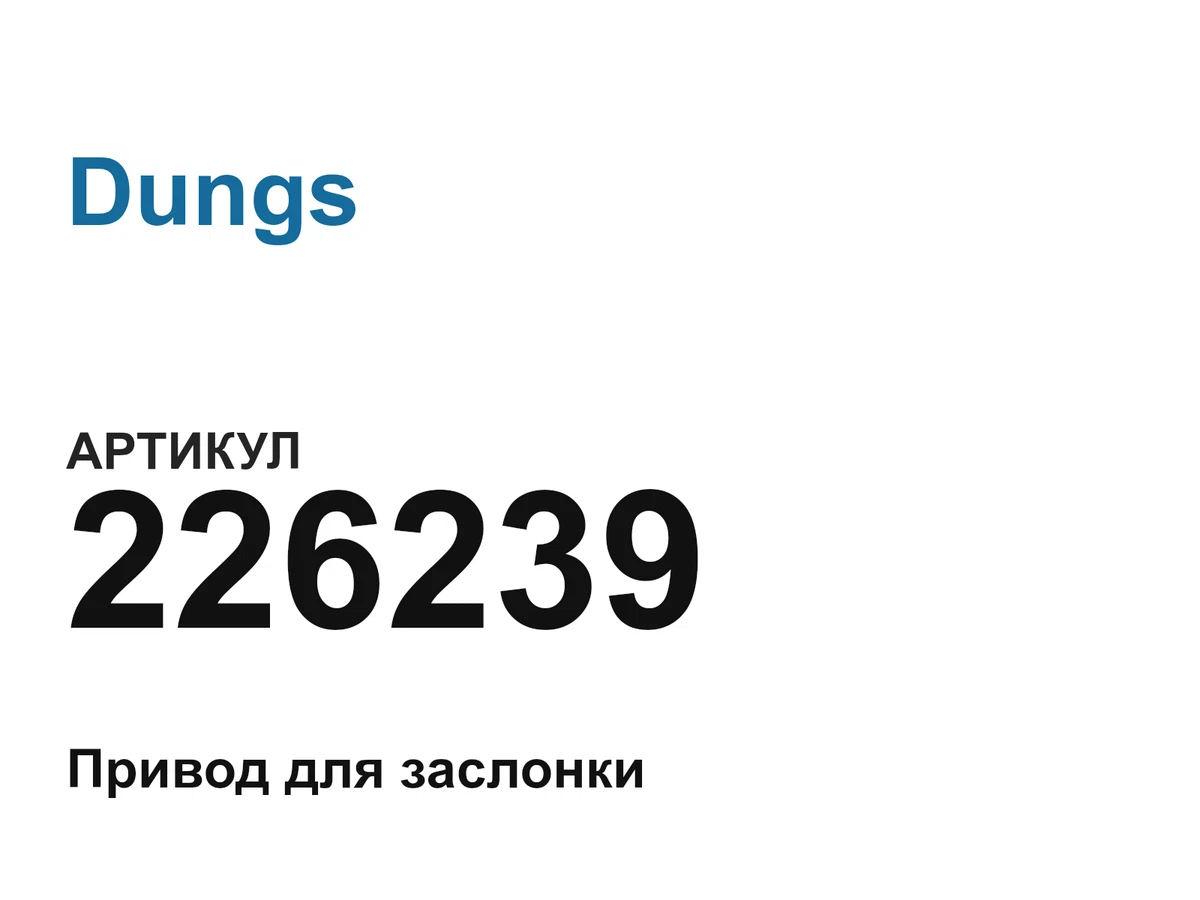 226239 Dungs