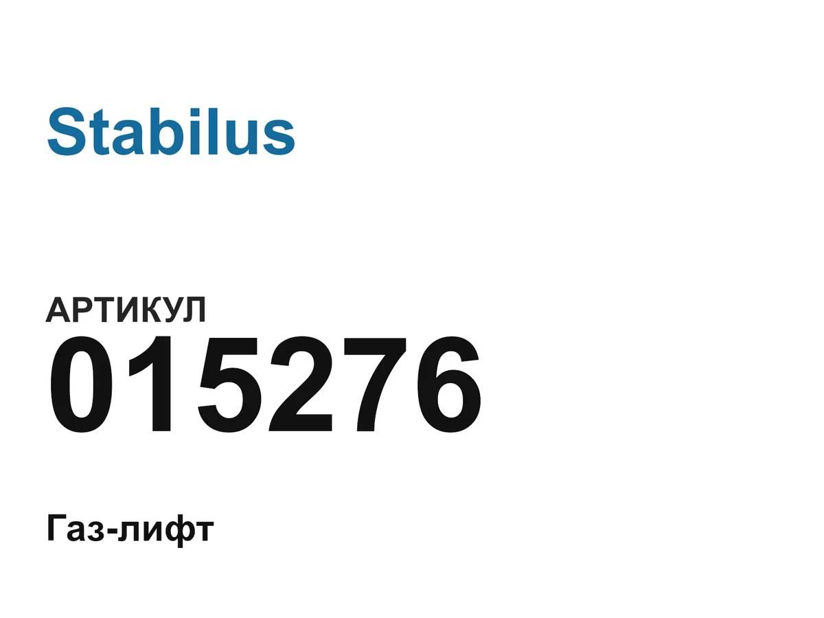 015276 Stabilus