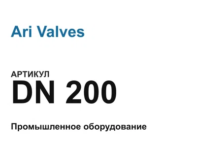 DN200 Ari Valves