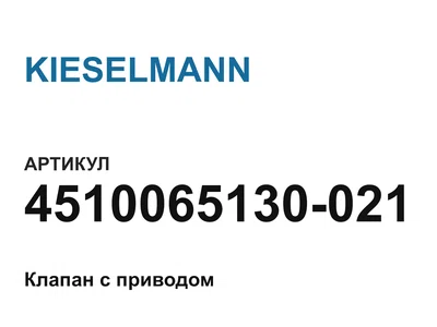 4510065130021 KIESELMANN