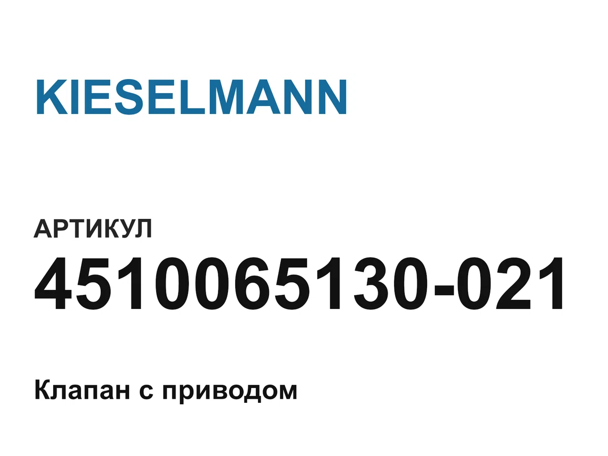 4510065130021 KIESELMANN
