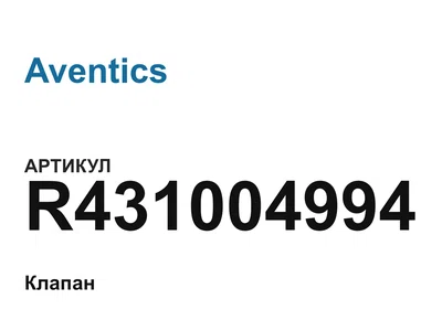 R431004994 Aventics