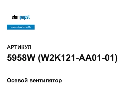 5958WW2K121AA0101 ebm-papst