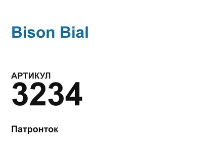 3234 Bison Bial