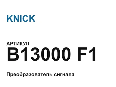 B13000F1 KNICK