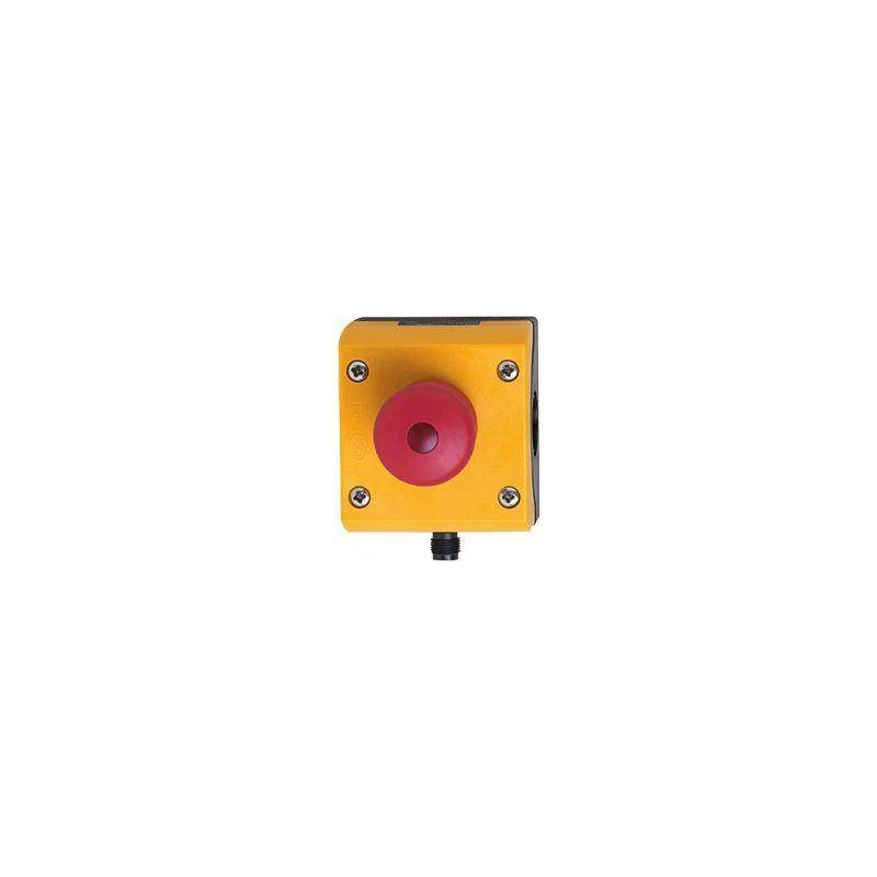 AC010S IFM