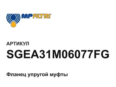 SGEA31M06077FG MP Filtri