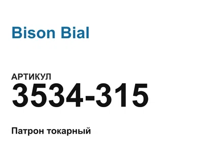 3534315 Bison Bial