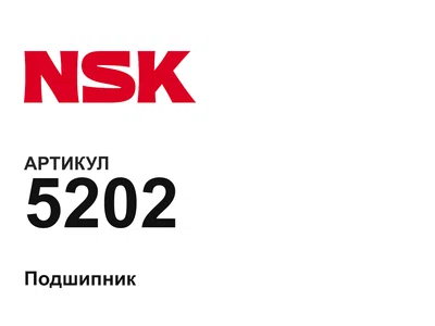 5202 NSK