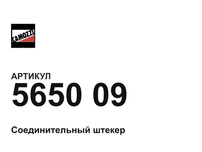 565009 Camozzi