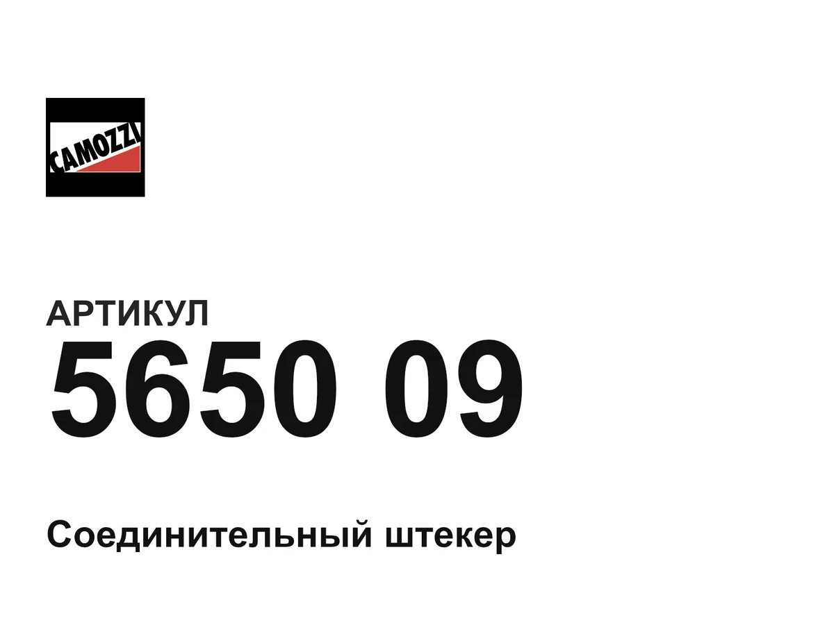 565009 Camozzi