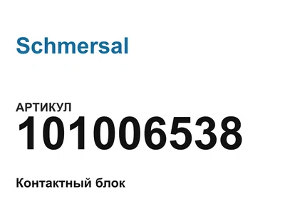 101006538 Schmersal