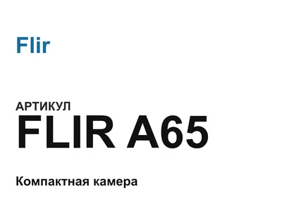 FLIRA65 Flir